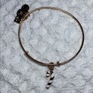 ALEX AND ANI BRACELET